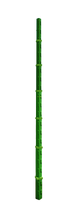 Bamboo