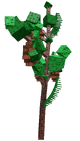 Giant Pinecone