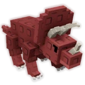 Triceratops